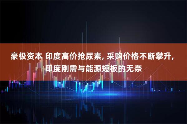 豪极资本 印度高价抢尿素, 采购价格不断攀升, 印度刚需与能源短板的无奈