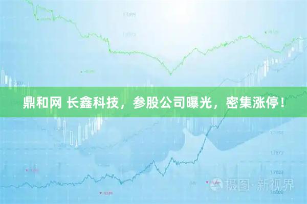 鼎和网 长鑫科技，参股公司曝光，密集涨停！
